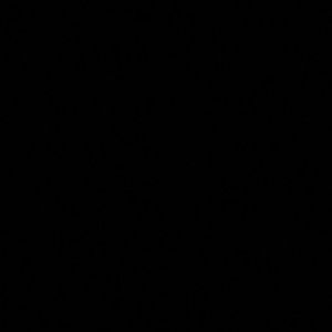 Meet your Posher, Charles